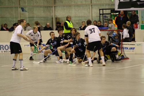 IMG_2490 IMG_2490