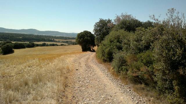 Compostella I